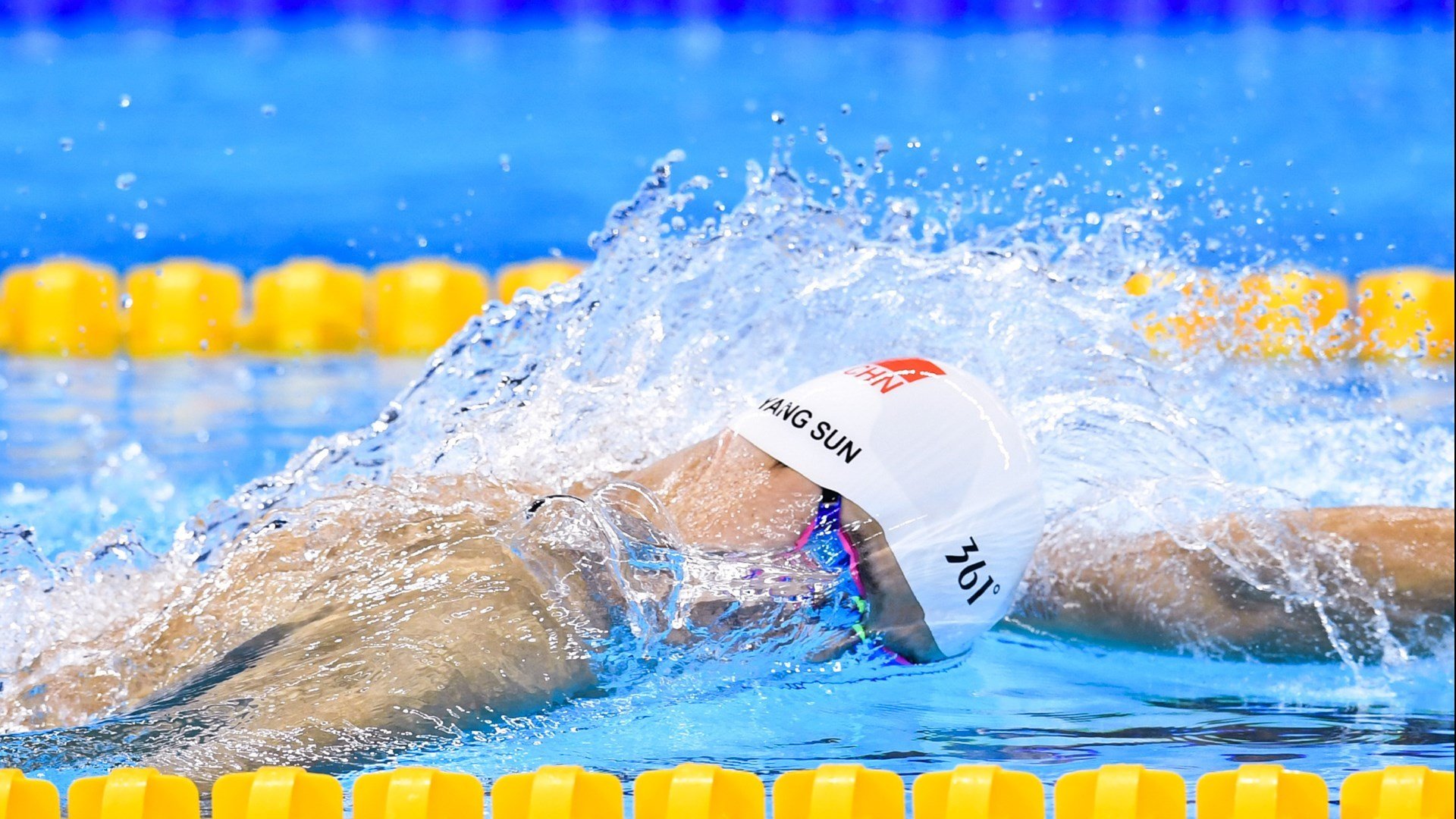 世界杯：多国将“世界杯志愿者经历”写入高校社会实践学分体系