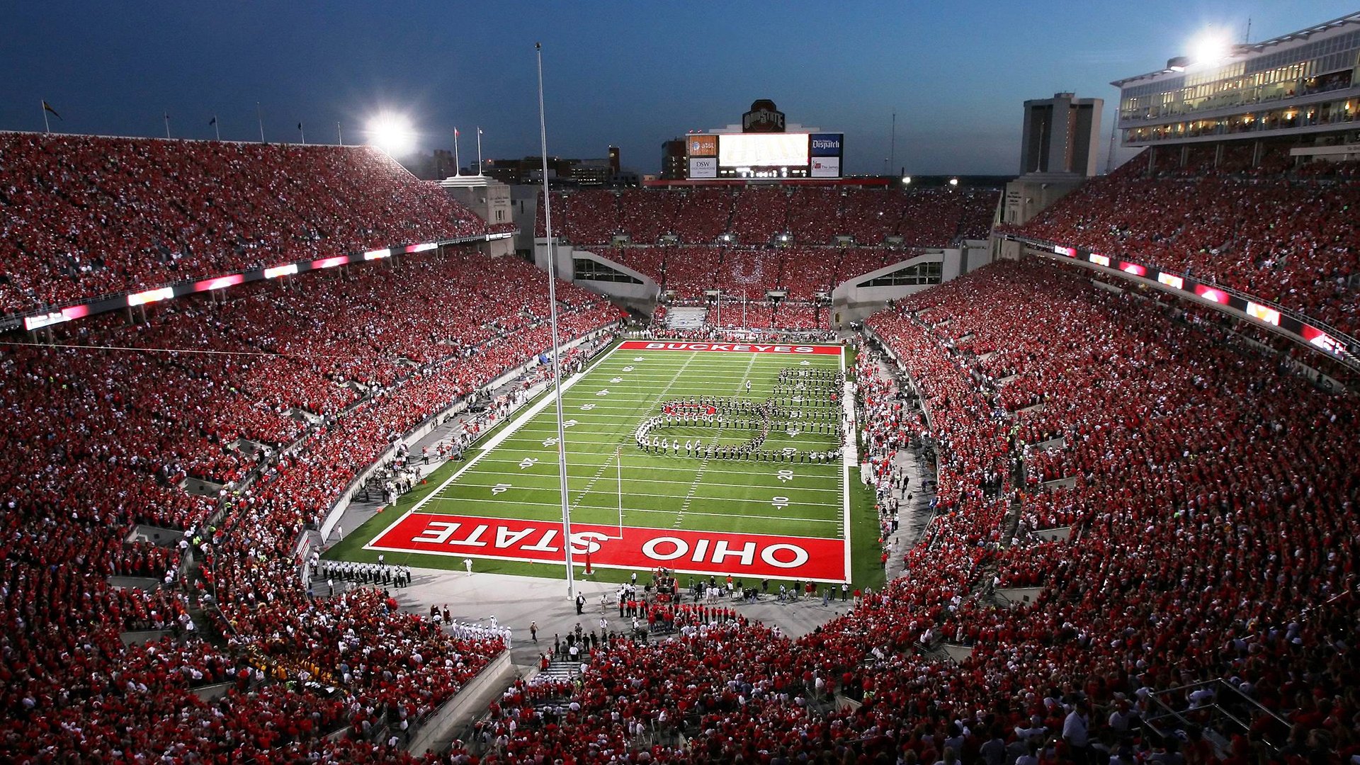 世界杯：多国将“世界杯志愿者经历”写入高校社会实践学分体系